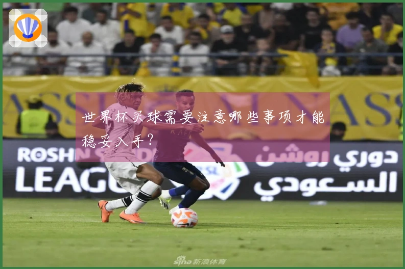 世界杯买球需要注意哪些事项才能稳妥入手？