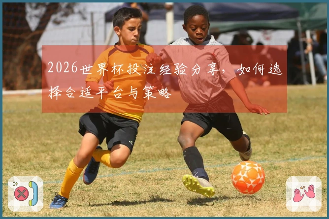 2026世界杯投注经验分享，如何选择合适平台与策略