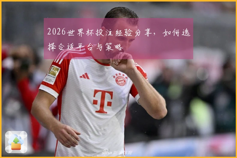 2026世界杯投注经验分享，如何选择合适平台与策略