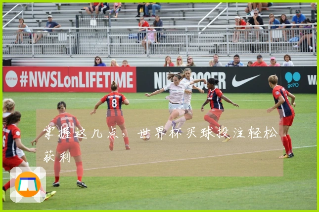 掌握这几点，世界杯买球投注轻松获利