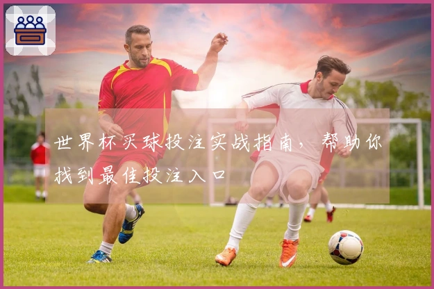 世界杯买球投注实战指南，帮助你找到最佳投注入口