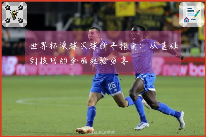世界杯滚球买球新手指南：从基础到技巧的全面经验分享